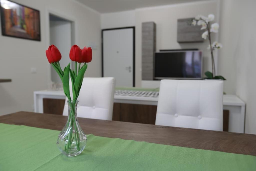 Casa Magenta Apartment 2 Valeggio sul Mincio Eksteriør billede